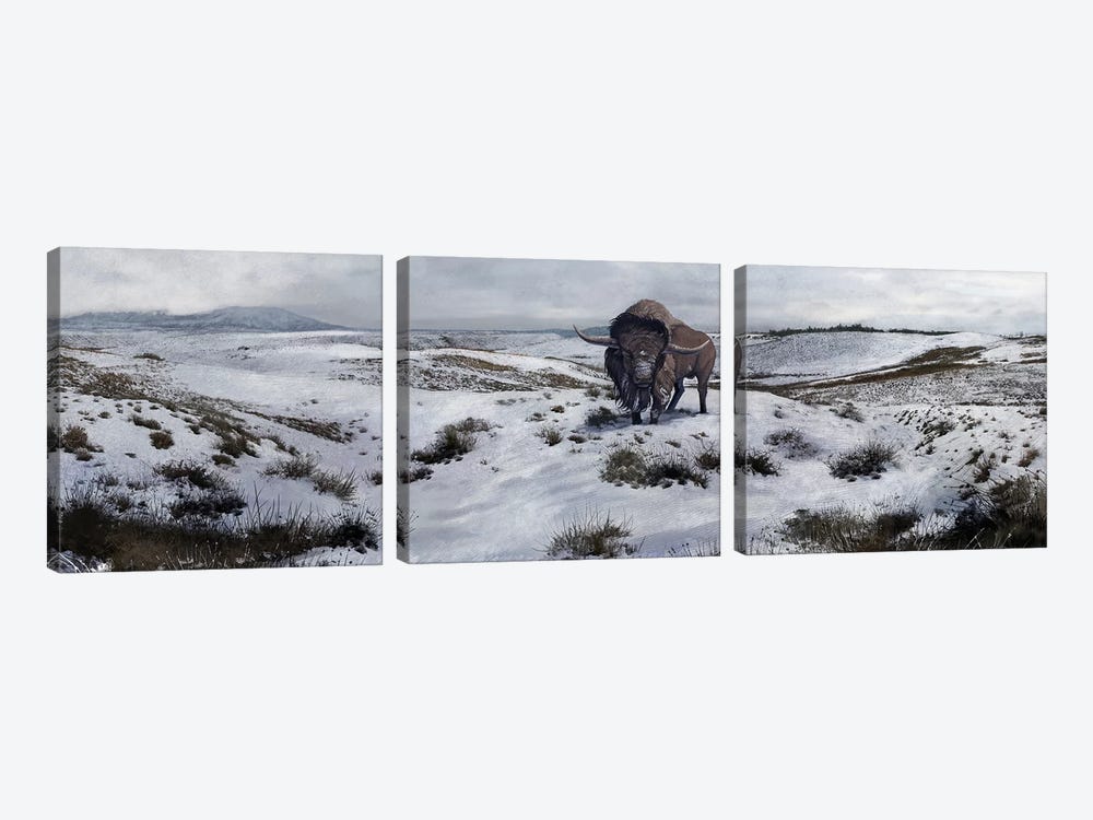 A Bison Latifrons In A Winter Landscape During The Pleistocene Epoch by Roman Garcia Mora 3-piece Art Print