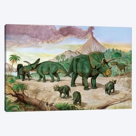 An Albertosaurus Observes A Family Of Arrhinoceratops Canvas Print #TRK2730} by Sergey Krasovskiy Canvas Artwork