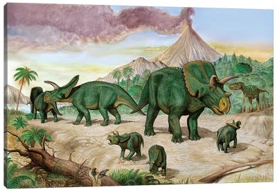 An Albertosaurus Observes A Family Of Arrhinoceratops Canvas Art Print