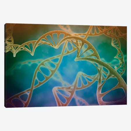 Cluster Of DNA Strands Canvas Print #TRK2738} by Stocktrek Images Canvas Artwork