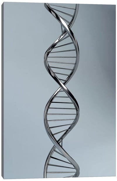 Conceptual Image Of DNA I Canvas Art Print - Anatomy Art