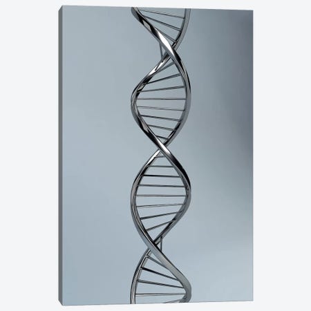 Conceptual Image Of DNA I Canvas Print #TRK2739} by Stocktrek Images Canvas Artwork