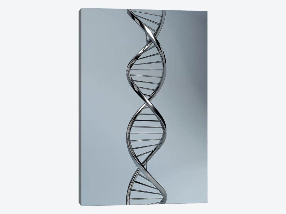 Conceptual Image Of DNA I by Stocktrek Images 1-piece Canvas Wall Art