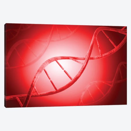 Conceptual Image Of DNA IV Canvas Print #TRK2742} by Stocktrek Images Canvas Print