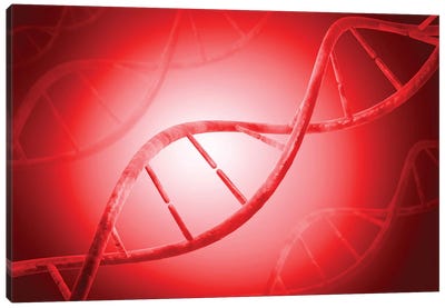 Conceptual Image Of DNA IV Canvas Art Print