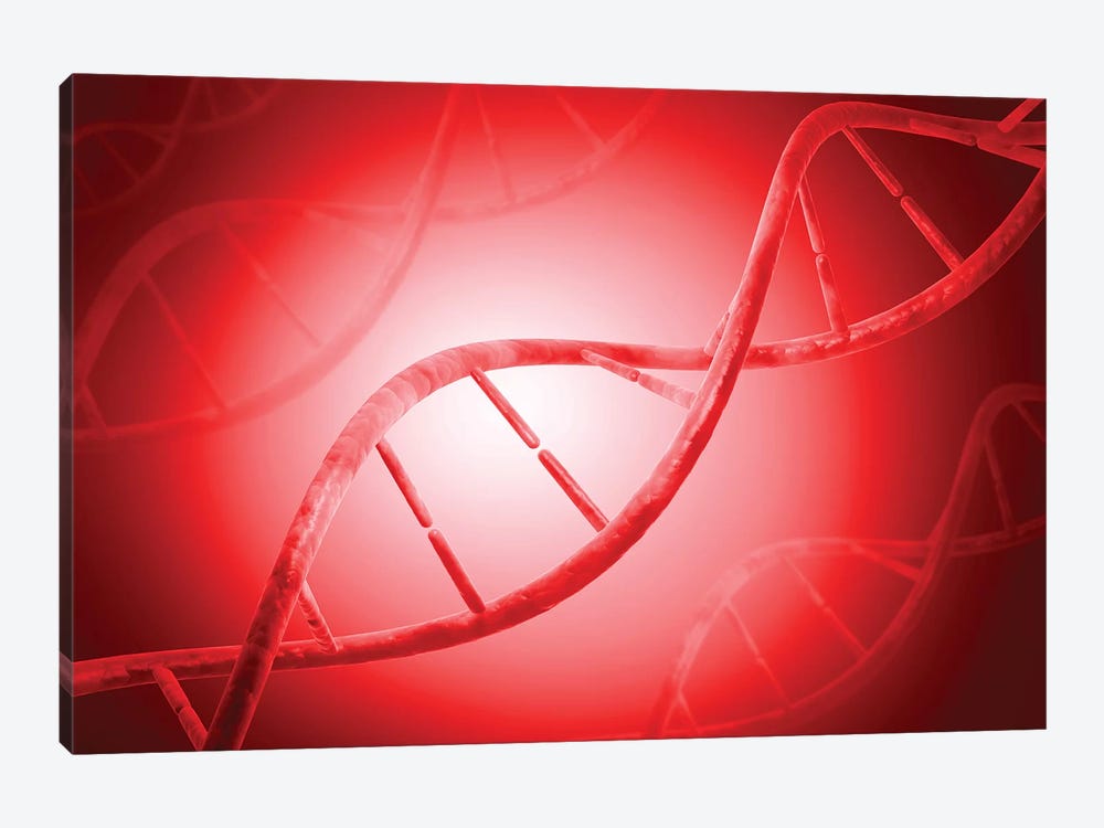 Conceptual Image Of DNA IV by Stocktrek Images 1-piece Canvas Artwork