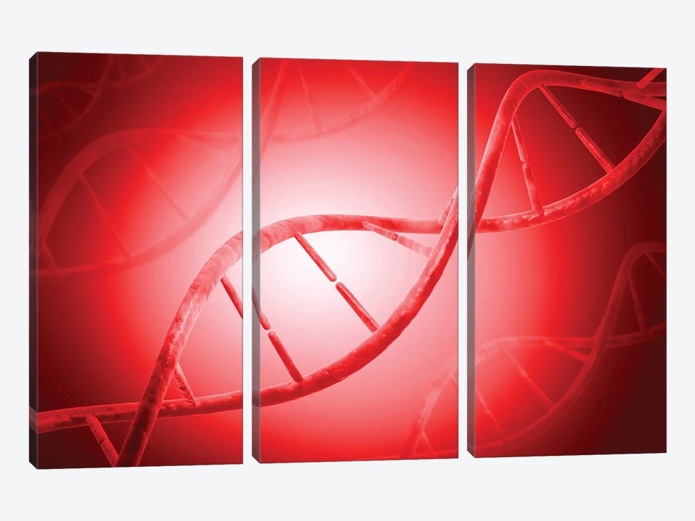 Conceptual Image Of DNA IV by Stocktrek Images 3-piece Canvas Wall Art