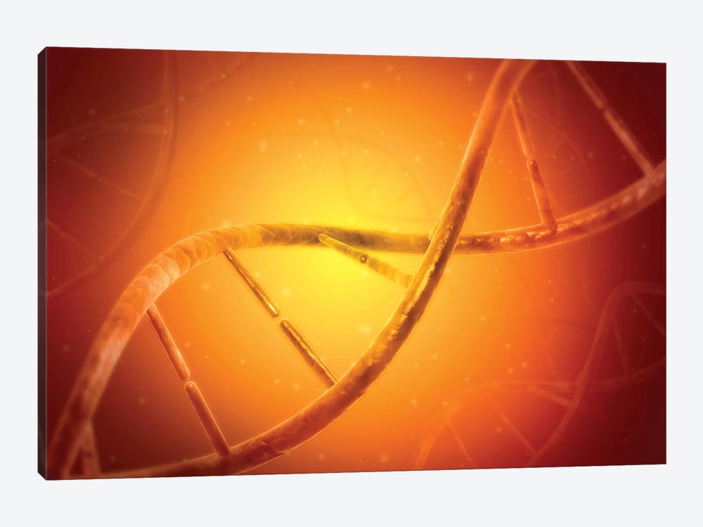Conceptual Image Of DNA V by Stocktrek Images 1-piece Art Print