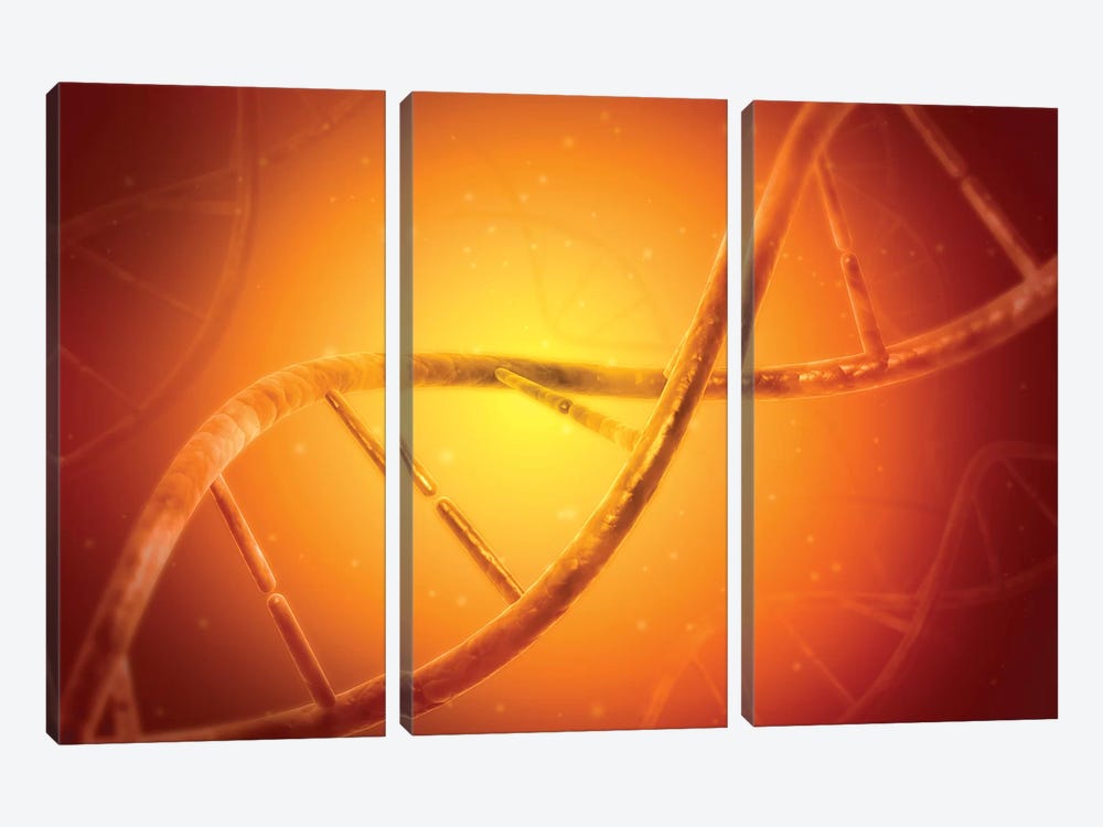 Conceptual Image Of DNA V by Stocktrek Images 3-piece Canvas Print