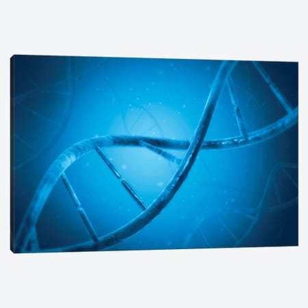 Conceptual Image Of DNA VI Canvas Print #TRK2744} by Stocktrek Images Canvas Art