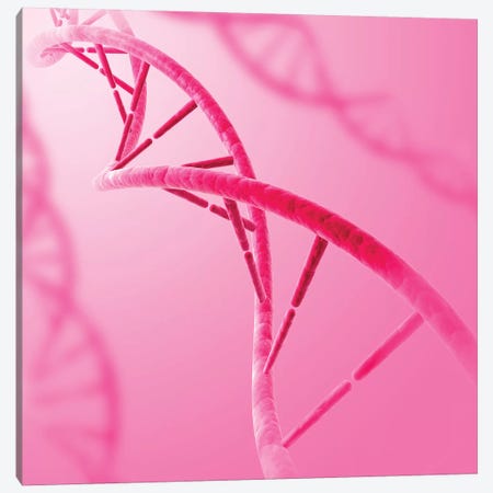 Conceptual Image Of DNA VII Canvas Print #TRK2745} by Stocktrek Images Canvas Art