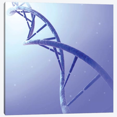 Conceptual Image Of DNA IX Canvas Print #TRK2747} by Stocktrek Images Canvas Art