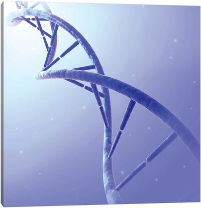 Conceptual Image Of DNA IX Canvas Art Print