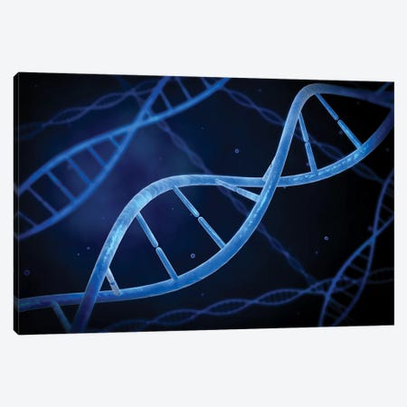 Microscopic View Of DNA I Canvas Print #TRK2754} by Stocktrek Images Canvas Art Print