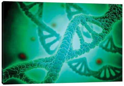 Microscopic View Of DNA II Canvas Art Print - Stocktrek Images -  Education Collection