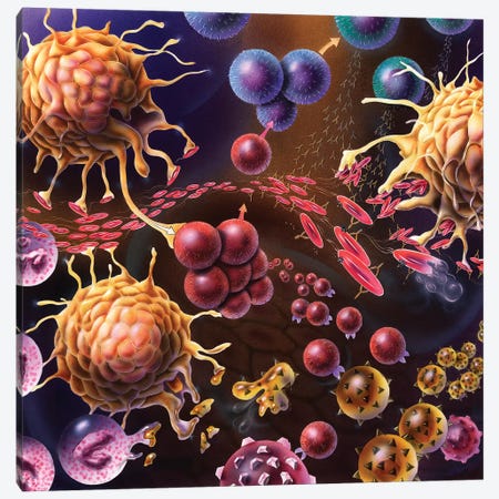 Artistic Representation Of The Immune System'S Reaction To Bacteria Invading The Tissues Canvas Print #TRK2767} by TriFocal Communications Canvas Wall Art