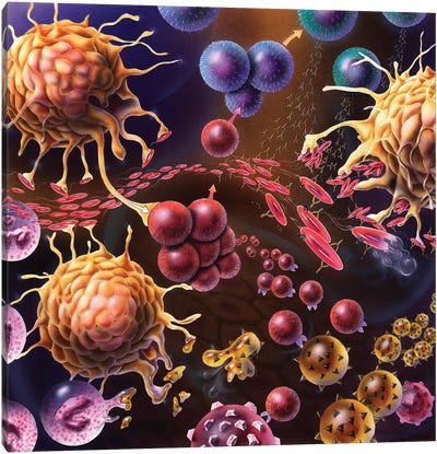 Artistic Representation Of The Immune System'S Reaction To Bacteria Invading The Tissues Canvas Art Print