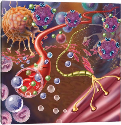 Nerve With Myelin Sheath, Seen In Lower Right, Connects With Muscle Canvas Art Print