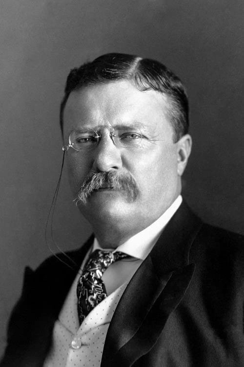 Portrait Of President Theodore Roosevelt In 1904