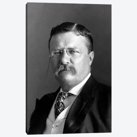 Portrait Of President Theodore Roosevelt In 1904 Canvas Print #TRK2808} by Stocktrek Images Canvas Wall Art