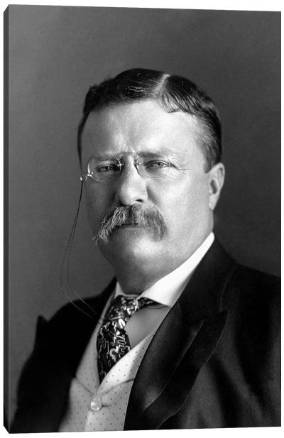 Portrait Of President Theodore Roosevelt In 1904 Canvas Art Print - Vintage & Retro Photography