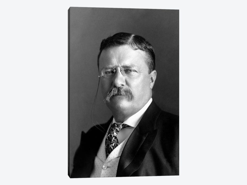 Portrait Of President Theodore Roosevelt In 1904 by Stocktrek Images 1-piece Canvas Wall Art
