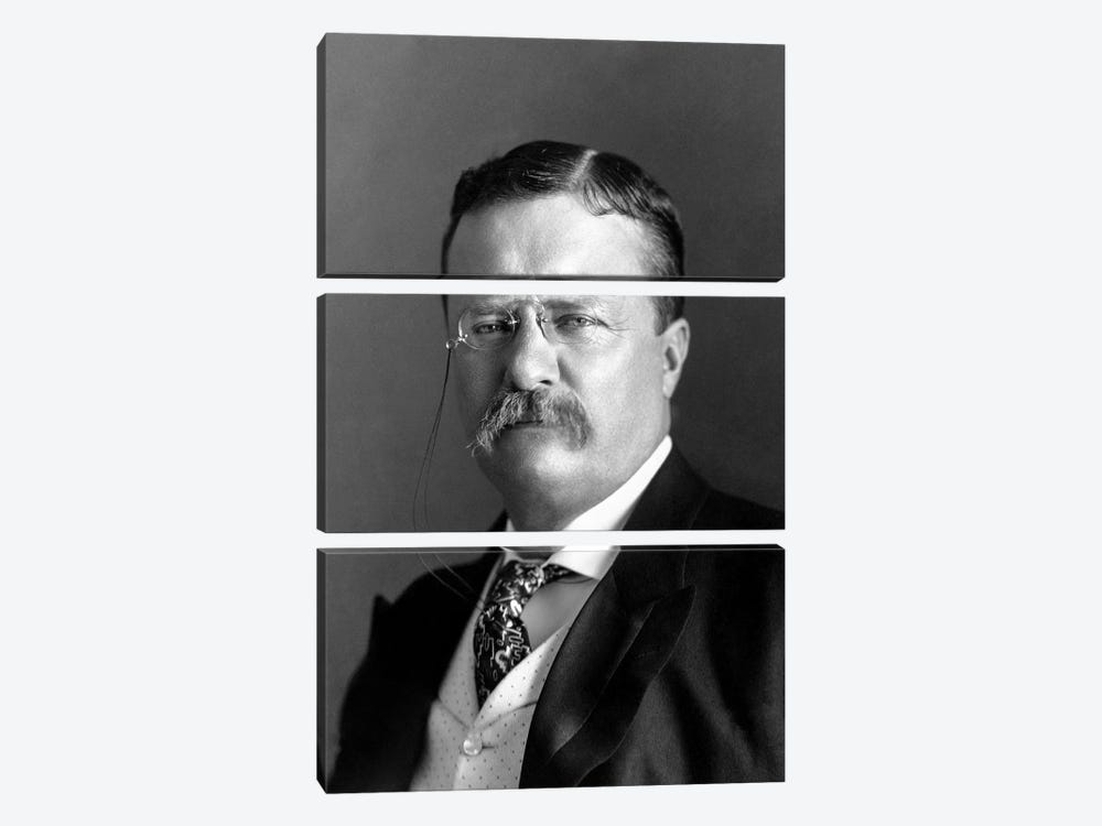Portrait Of President Theodore Roosevelt In 1904 by Stocktrek Images 3-piece Canvas Artwork