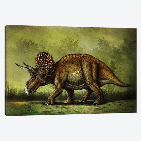 Triceratops horridus dinosaur. Canvas Print #TRK2841} by Aram Papazyan Canvas Art
