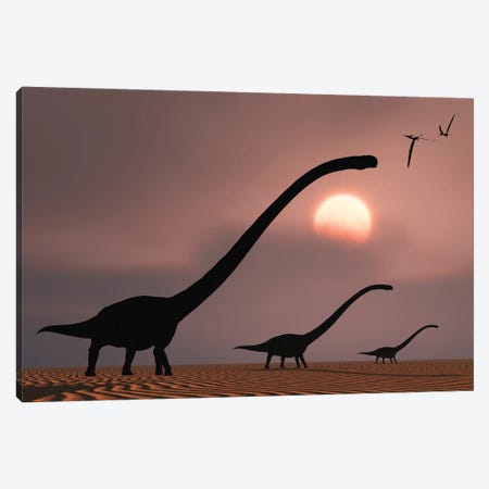 A herd of Omeisaurus dinosaurs silhouetted against a Jurassic sky. Canvas Print #TRK2845} by Mark Stevenson Canvas Art Print