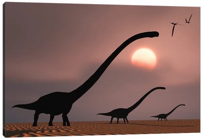 A herd of Omeisaurus dinosaurs silhouetted against a Jurassic sky. Canvas Art Print