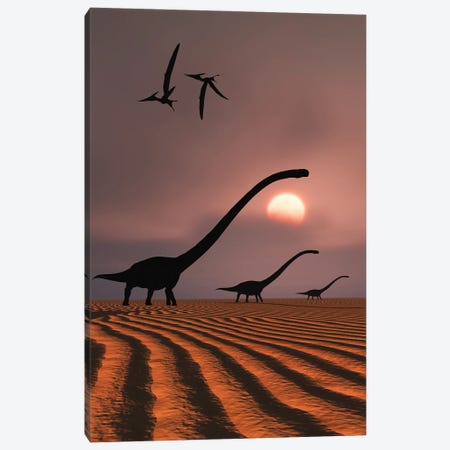A herd of Omeisaurus dinosaurs silhouetted against a Jurassic sky. Canvas Print #TRK2846} by Mark Stevenson Art Print