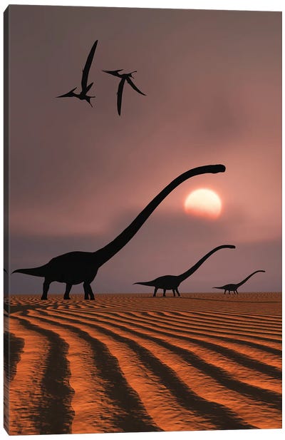 A herd of Omeisaurus dinosaurs silhouetted against a Jurassic sky. Canvas Art Print - Kids Dinosaur Art