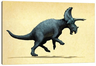 Lateral view of a Triceratops. Canvas Art Print
