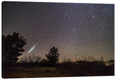 A Single Bright Meteor From The Geminid Meteor Shower Of December 2017. Canvas Art Print