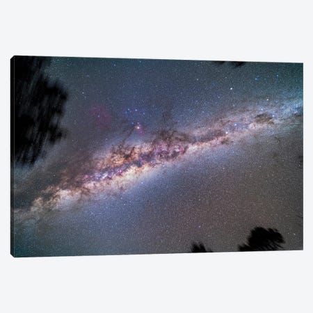 A View Looking Up To The Zenith At The Centre Of The Milky Way Galaxy. Canvas Print #TRK2906} by Alan Dyer Canvas Artwork