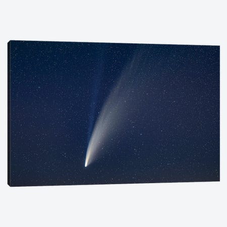 Comet Neowise Close-Up. Canvas Print #TRK2971} by Alan Dyer Canvas Artwork