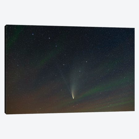 Comet Neowise In Ursa Major With Airglow. Canvas Print #TRK2972} by Alan Dyer Canvas Art
