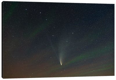 Comet Neowise In Ursa Major With Airglow. Canvas Art Print - Alan Dyer