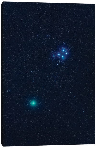 Comet Wirtanen 46P Passing Near The Pleiades Star Cluster. Canvas Art Print
