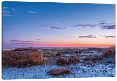 Crescent Moon In The Twilight Sky At Red Rock Coulee, Alberta, Canada. Canvas Art Print - Alan Dyer