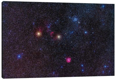 Field Of Clusters And Nebulosity In Gemini. Canvas Art Print - Alan Dyer