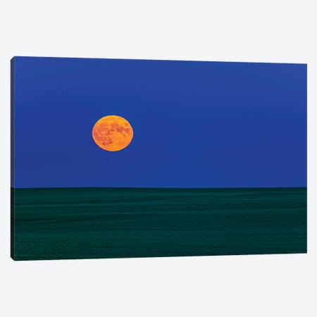 Full Moonrise Over A Green Field Of Wheat In Alberta, Canada. Canvas Print #TRK3009} by Alan Dyer Canvas Print