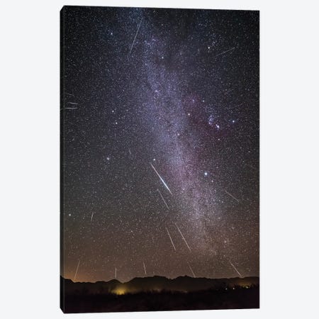 Geminid Meteor Shower In A View Framing The Winter Milky Way. Canvas Print #TRK3011} by Alan Dyer Canvas Artwork