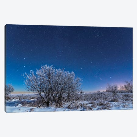 Orion And The Stars Of A Northern Winter Rising Over A Snowy Landscape In Canada. Canvas Print #TRK3071} by Alan Dyer Canvas Art