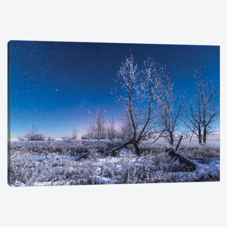 Orion Rising In The Moonlight Over A Snowy Landscape In Southern Alberta, Canada. Canvas Print #TRK3078} by Alan Dyer Canvas Art