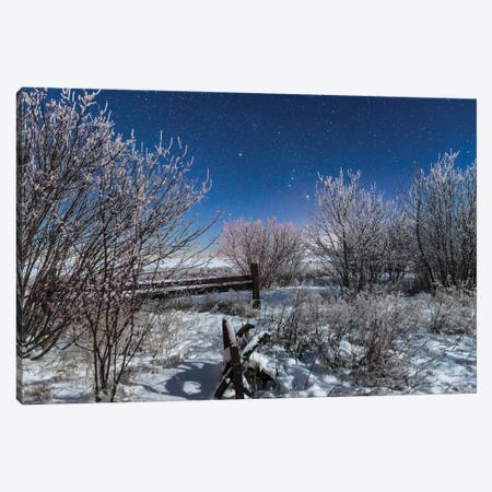 Orion Rising In The Moonlight Over An Old Fence In Southern Alberta, Canada. Canvas Print #TRK3079} by Alan Dyer Canvas Art