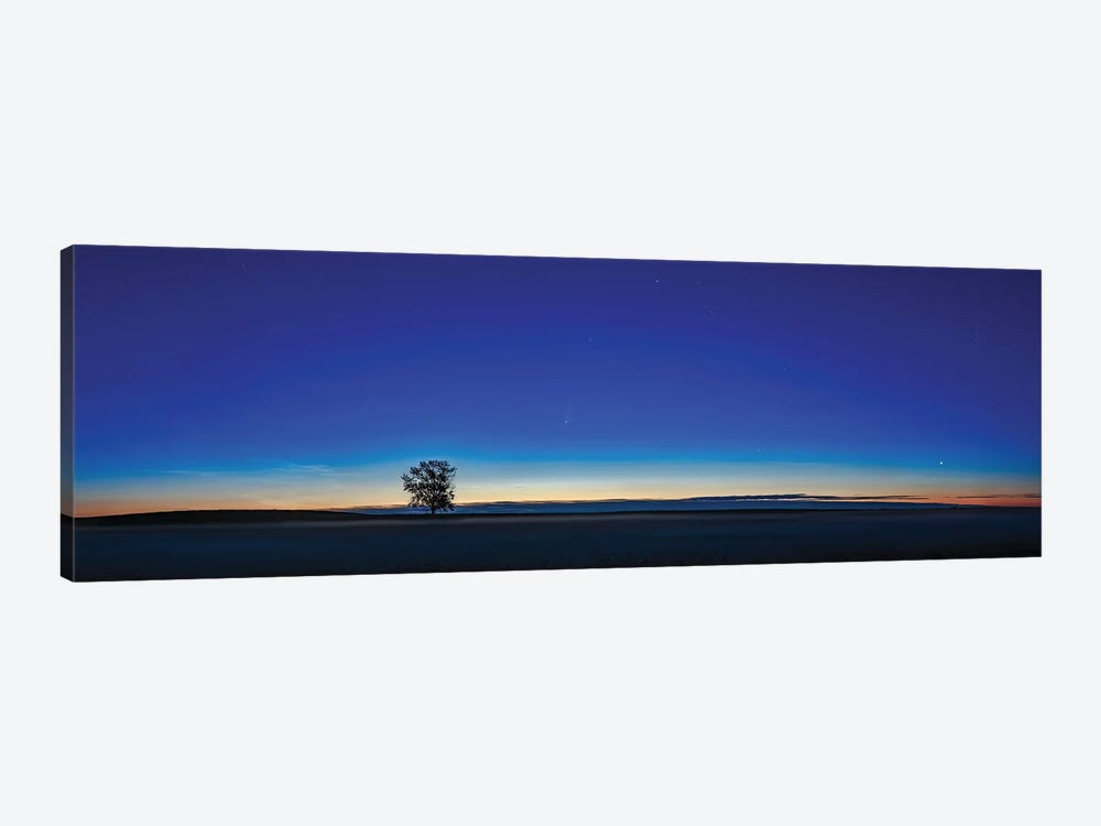 Panorama Of A Lone Tree With Comet Neowise At Dawn In Alberta, Canada. by Alan Dyer 1-piece Canvas Art