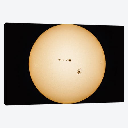 Particularly Large Groups Of Sunspots On The Sun. Canvas Print #TRK3104} by Alan Dyer Art Print