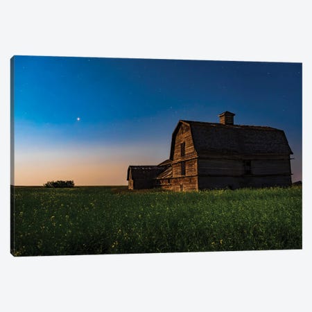 Planet Mars Shining Over An Old Barn Amid A Field Of Canola. Canvas Print #TRK3110} by Alan Dyer Art Print