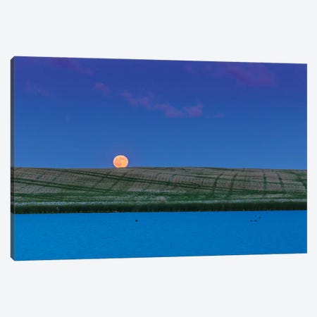 Rull Moon Rising Over A Prairie Pond In Alberta, Canada. Canvas Print #TRK3120} by Alan Dyer Canvas Artwork